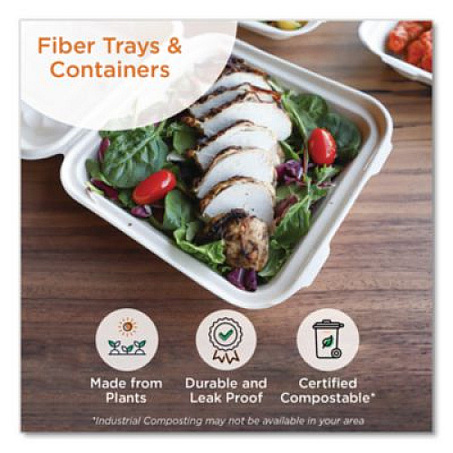 World Centric Laminated Fiber Meat and Produce Trays, PLA Lined, PFAS Free, 8.2 x 5.7 x 0.7, Natural, Paper, 500/Carton (TRSC2SLLF)