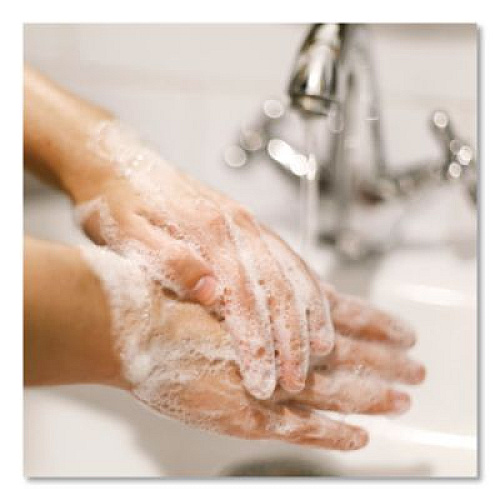 Dial Professional Antibacterial Liquid Hand Soap, Spring Water Scent, 1 gal, 4/Carton (15926)