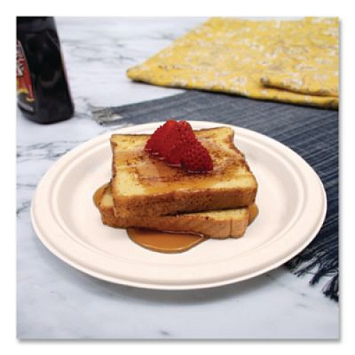 Dart Compostable Molded Fiber Dinnerware, ProPlanet Seal, Plate, 9" dia, Natural, 500/Carton (9FBRP1)
