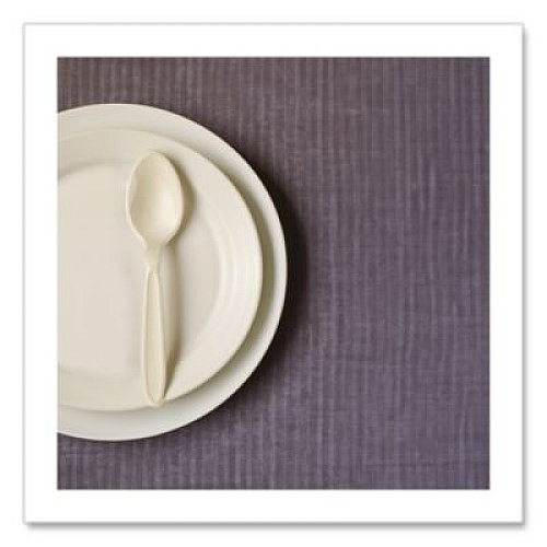 SOLO Reliance Mediumweight Cutlery, Spoon, Plastic, Champagne, 1,000/Carton (RSAT)