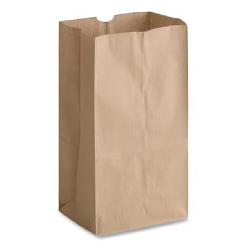 Ross & Wallace Paper Products Grocery Paper Bags, 25# Squat Size, 40# Basis Weight, 8.25" x 5.25" x 16.13", Kraft, 500/Bundle (GK25S500)