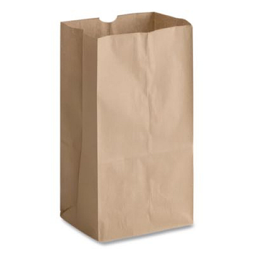 Ross & Wallace Paper Products Grocery Paper Bags, 2# Size, X-Heavy-Duty, 50# Basis Weight, 4.13" x 2.63" x 7.88", Kraft, 250 Bags/Pack, 2 Packs/Bundle (GX2500)