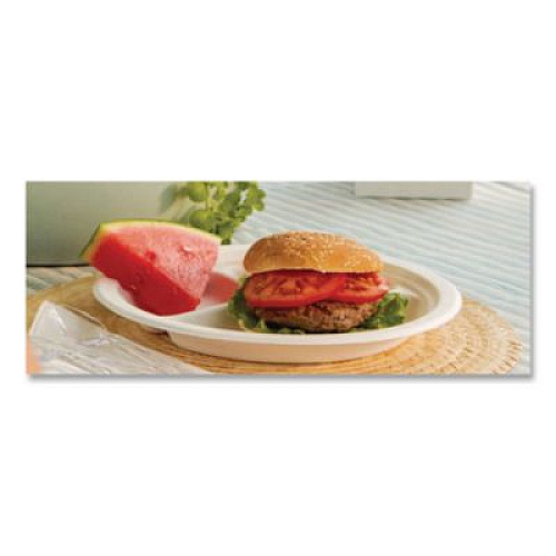 Chinet Paper Dinnerware, 3-Compartment Plate, 9.25" dia, White, 500/Carton (21228)