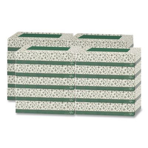 Floral Soft White Facial Tissue, 2-Ply, 100 Sheets/Box, 30 Boxes/Carton (F100)