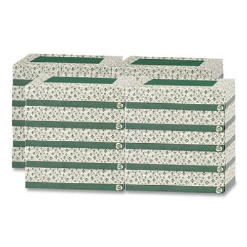 Eco Green Recycled Two-Ply Facial Tissue, White, 150 Sheets/Box, 20 Boxes/Carton (EF150)