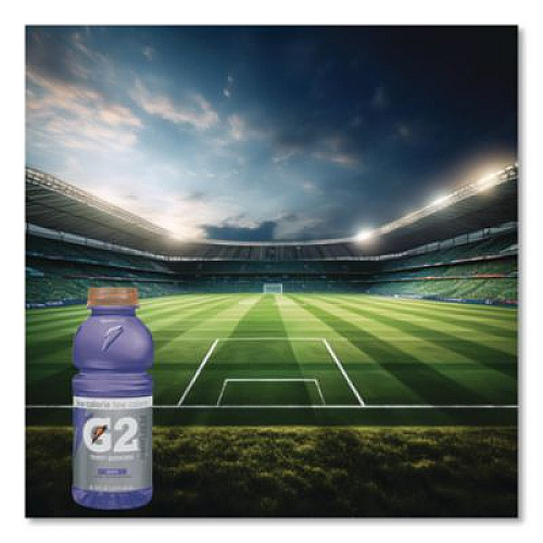 Gatorade G2 Perform 02 Low-Calorie Thirst Quencher, Grape, 20 oz Bottle, 24/Carton (04060)