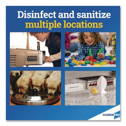 CloroxPro Anywhere Daily Disinfectant and Sanitizer, 32 oz Spray Bottle, 12/Carton (01698CT)
