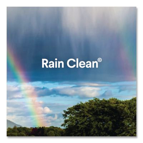 Clorox Clean-Up Multi-Surface Cleaner with Bleach, 32 oz Spray Bottle, Rain Clean Scent, 9/Carton (30197)
