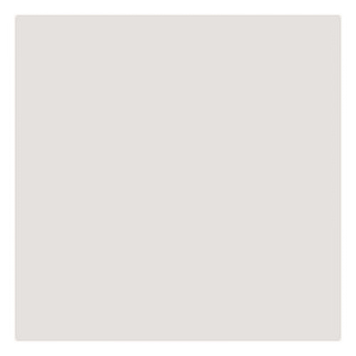 Rust-Oleum Touch'n Tone Spray Paint, Flat White, 10 oz Aerosol Can, 6/Carton (55280830)