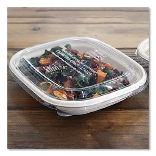 World Centric PLA Lids for Fiber Containers, 8.8 x 6.9 x 0.8, Clear, Plastic, 400/Carton (CTLCS3)