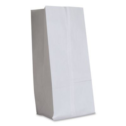 Ross & Wallace Paper Products Grocery Paper Bags, 20# Size, 40# Basis Weight, 8.25" x 5.25" x 16.13", White, 500/Bundle (GW20500)