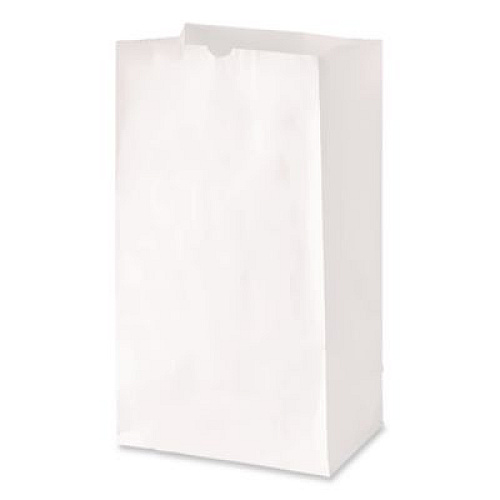 Ross & Wallace Paper Products Grocery Paper Bags, 20# Size, 40# Basis Weight, 8.25" x 5.25" x 16.13", White, 500/Bundle (GW20500)