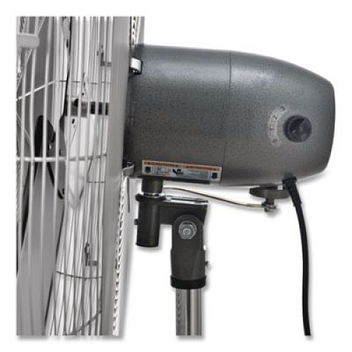 Global Industrial Oscillating Pedestal Fan, 30", 3 Speeds, Gray (585280)