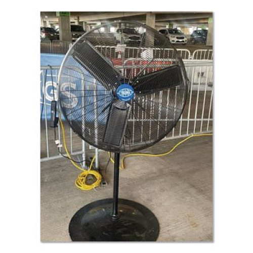 Global Industrial Oscillating Pedestal Fan, 30", 3 Speeds, Gray (585280)