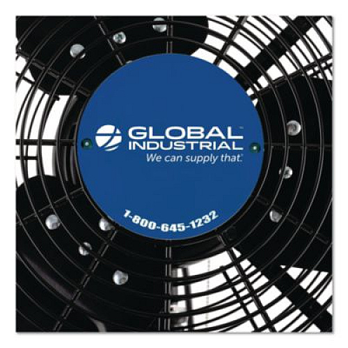 Global Industrial 2 Speed Oscillating Outdoor Rated Wall Mount Fan, 30", Black (292451)
