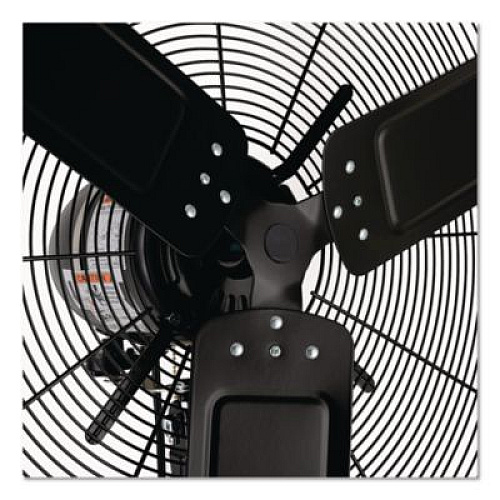 Global Industrial 2 Speed Oscillating Outdoor Rated Wall Mount Fan, 30", Black (292451)