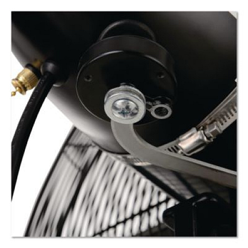 Global Industrial 2 Speed Oscillating Outdoor Rated Wall Mount Fan, 30", Black (292451)