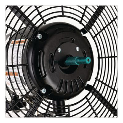 Global Industrial 2 Speed Oscillating Outdoor Rated Wall Mount Fan, 30", Black (292451)