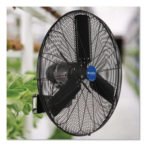 Global Industrial 2 Speed Oscillating Outdoor Rated Wall Mount Fan, 30", Black (292451)