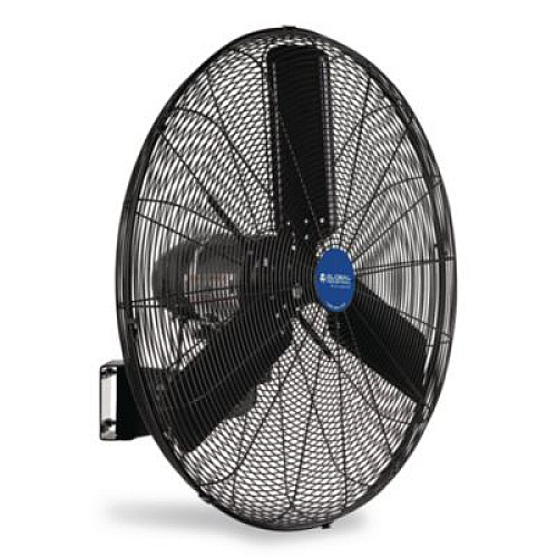 Global Industrial 2 Speed Oscillating Outdoor Rated Wall Mount Fan, 30", Black (292451)