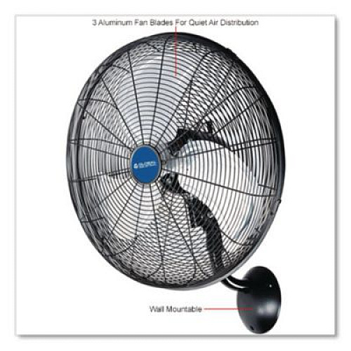 Global Industrial Industrial Wall Mounted Oscillating Fan, 20", 3 Speeds, Black (293130)