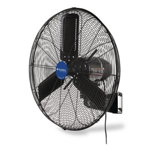 Global Industrial 2-Speed Oscillating Outdoor Rated Wall Mount Fan, 24", Black (292450)