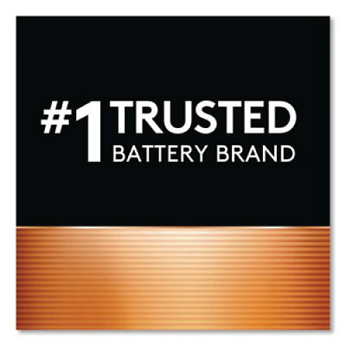 Duracell Lithium Coin Batteries With Bitterant, 2032, 2/Pack (DL2032B2PK)
