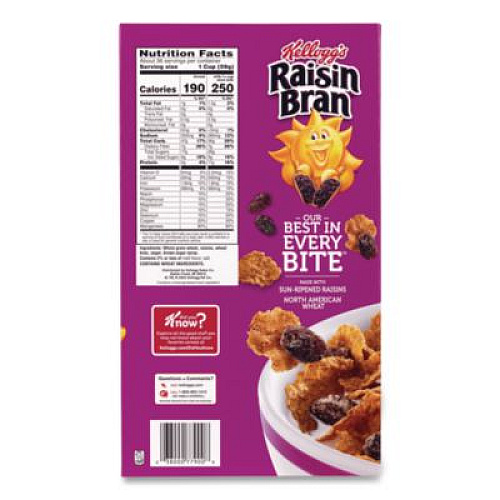 Kellogg's Raisin Bran Cereal, 2 Bags/Box, 76.5 oz Box (22002624)