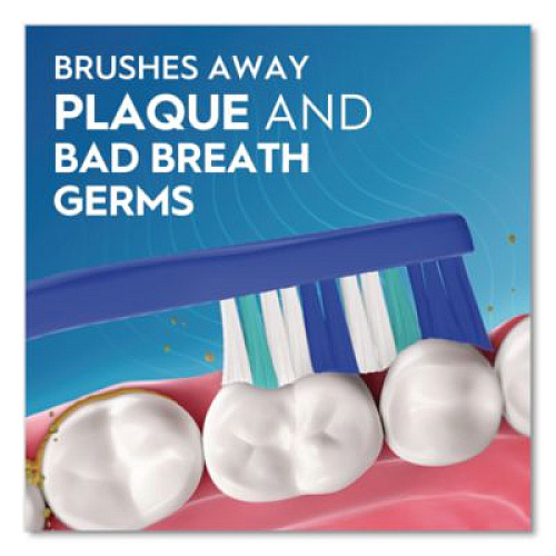 Oral-B Essential Clean Toothbrush, Unscented, Blue/White, 72/Carton (10904)