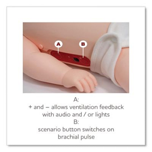 Brayden PRO Baby Pediatric Feedback Manikin (IM17P)