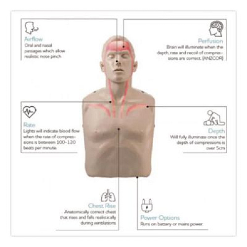 Brayden LED CPR Manikins with Trolley Bag and Four Manikins (IM13R04)