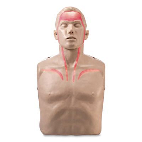 Brayden LED CPR Manikins with Trolley Bag and Four Manikins (IM13R04)