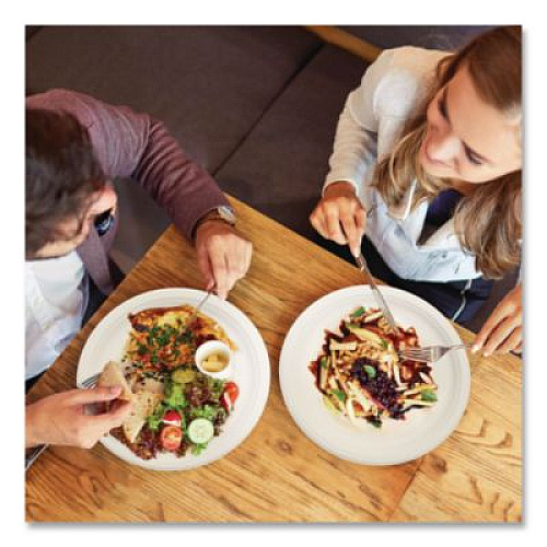 Dart Compostable Molded Fiber Dinnerware, ProPlanet Seal, Plate, 10.2" dia, Natural, 500/Carton (10FBRP1)