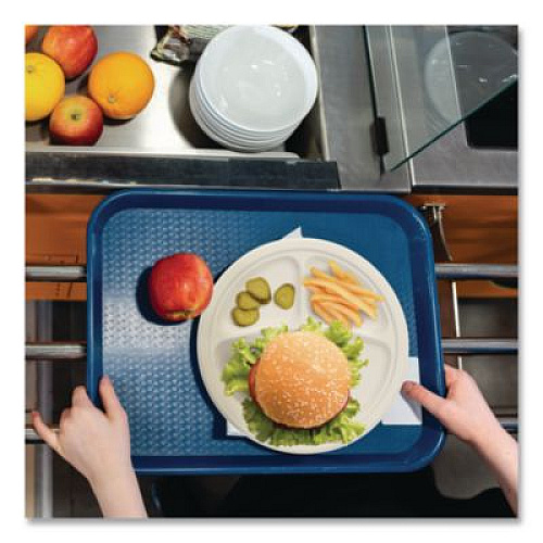 Dart Compostable Molded Fiber Dinnerware, ProPlanet Seal, 3-Compartment Plate, 10.2" dia, Natural, 500/Carton (10FBRP3)