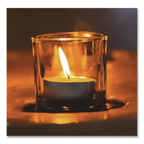 Sterno Tealight Candle, 5 Hour Burn, 0.5"h, White, 50/Pack, 10 Packs/Carton (40100)