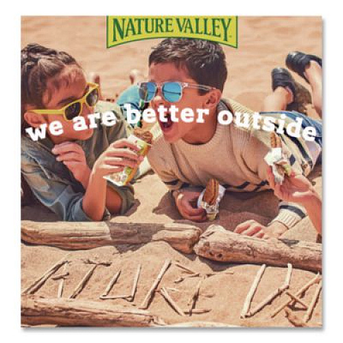 Nature Valley Biscuits, Honey with Peanut Butter, 1.35 oz Pouch, 16/Box (GEM47878)