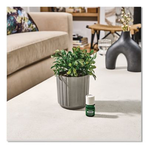Lifelines Evaporative Aromatherapy Essential Oil Boxwood Plant Diffuser with Fir Needle/Pine Essential Oil, 6.2 x 6.2 x 9.5, Gray/Green (111611)