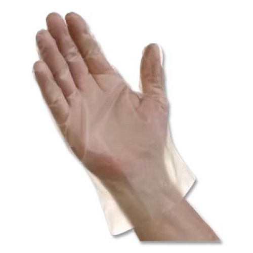 AMBITEX EconoFit Plus Polyethylene Gloves, Powder-Free, Large, Clear, 200/Box, 10 Boxes/Carton (EFLG2000)