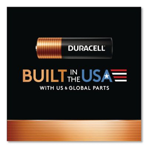 Duracell Power Boost CopperTop Alkaline AAA Batteries, 4/Pack (MN2400B4Z)