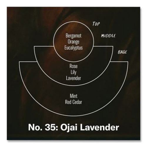 P.F. Candle Co. Ojai Lavender Soy Candle, 40 to 50 Hours Burn Time, 2.9 d x 3.5 h, 7.2 oz, Amber (SC35)