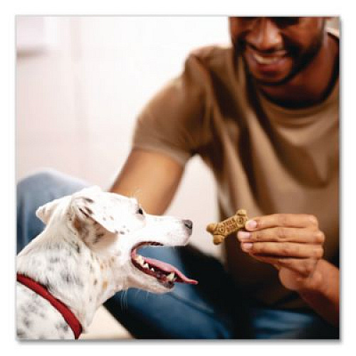 Milk-Bone Small Sized Dog Biscuits, Bacon; Beef; Chicken; Sausage; Turkey, 60 oz (82239)
