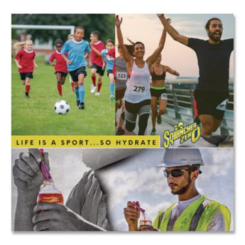 Sqwincher Sugar-Free Qwik Stik Energy Drink Mix, Fruit Punch, 1.26 oz Packet, 50/Pack (060102FP)