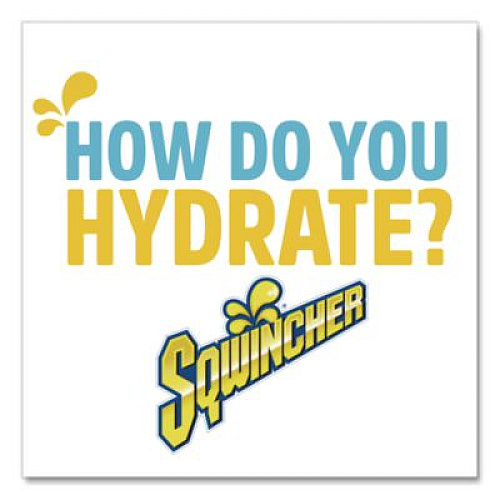 Sqwincher Sugar-Free Qwik Stik Energy Drink Mix, Lemonade, 1.26 oz Packet, 50/Pack (060103LA)