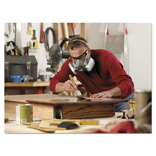 3M Half Facepiece Paint Spray/Pesticide Respirator, Large (6311PA1A)