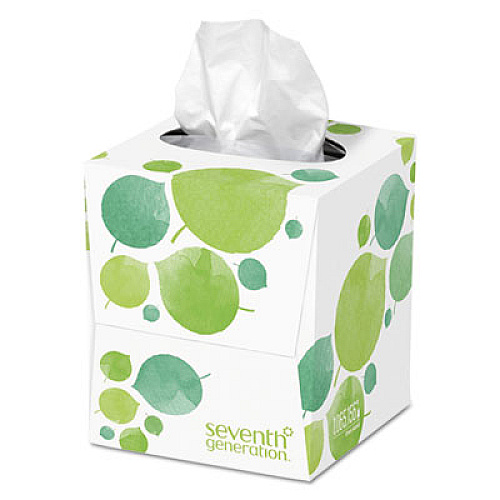 Seventh Generation 100% Recycled Facial Tissue, 2-Ply, White, 85 Sheets/Box, 36 Boxes/Carton (13719CT)