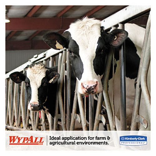 WypAll L10 SANI-PREP Dairy Towels, POP-UP Box, 1-Ply,  9 x 10.5, White, 110/Pack, 18 Packs/Carton (01772)