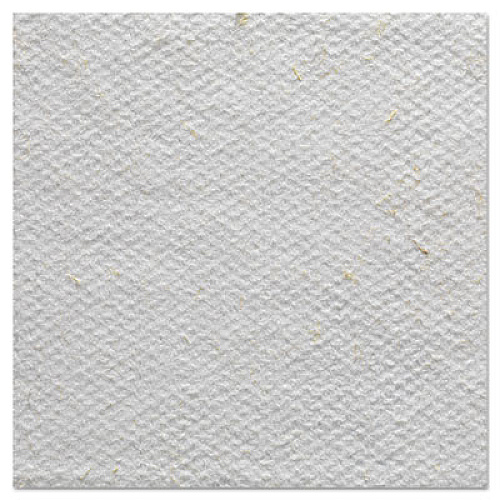 Brawny Professional FLAX 700 Medium Duty Cloths, 9 x 16 1/2, White, 94/Box, 10 Box/Carton (29609)