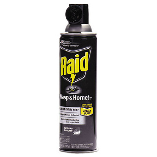 Raid Wasp and Hornet Killer, 14 oz Aerosol (668006EA)