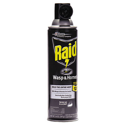 Raid Wasp and Hornet Killer, 14 oz Aerosol (668006EA)