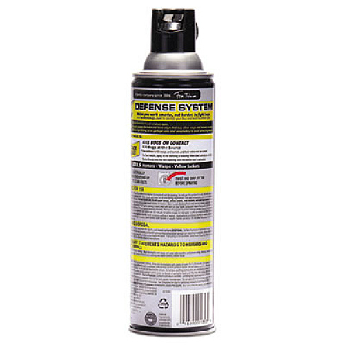 Raid Wasp and Hornet Killer, 14 oz Aerosol (668006EA)
